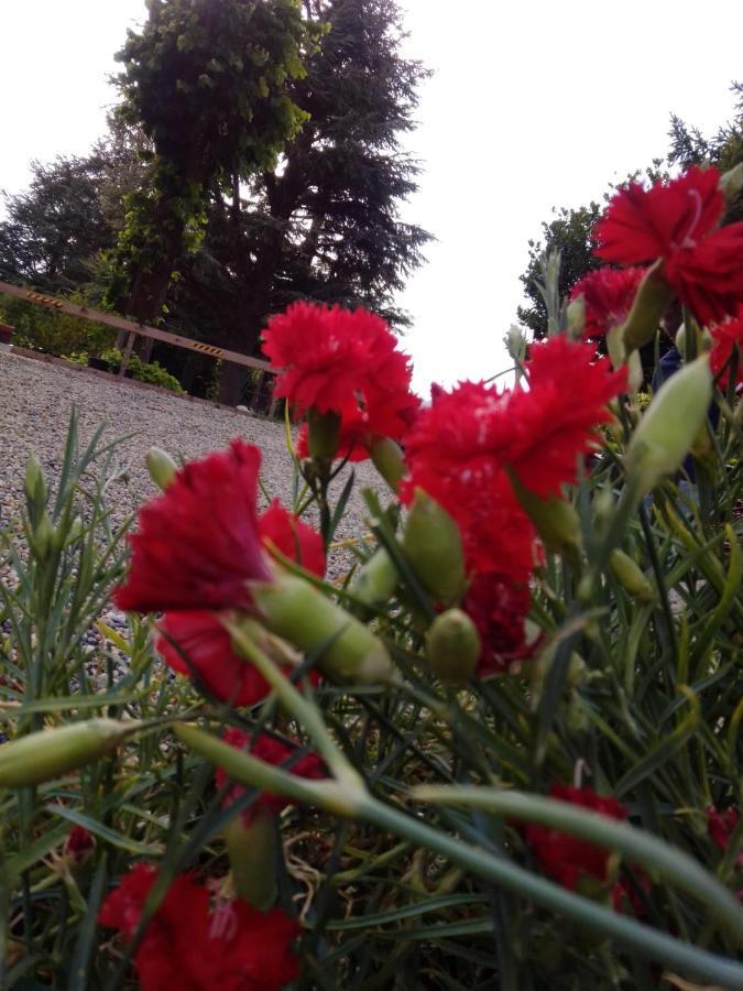 Casa T Bed And Breakfast & Home Restaurant Di Tacchino Simone Tagliolo Monferrato Εξωτερικό φωτογραφία